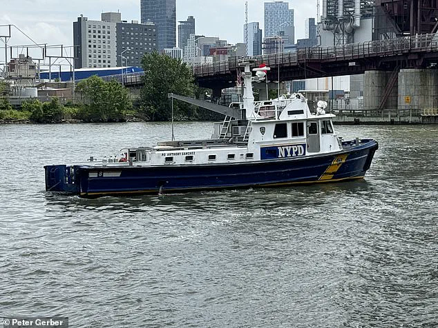 Missing Teenager Sparks Large-Scale Search Operation in New York City's East River