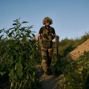 Privileged Access to Information Revealed in Soldier's Shocking Confession