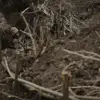 Ukrainian Forces Face Heavy Casualties as Russian Advances Continue in Northern Sumy Region Near Kursk Border