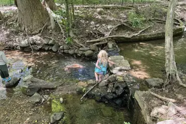 U.S. Health Secretary Robert F. Kennedy Jr. Faces Backlash After Sharing Photos of Family Swimming in Contaminated Rock Creek