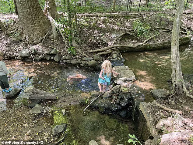 U.S. Health Secretary Robert F. Kennedy Jr. Faces Backlash After Sharing Photos of Family Swimming in Contaminated Rock Creek
