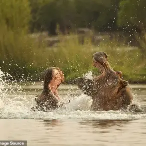 30 Years After Hippo Attack, Paul Templer's Unyielding Spirit Lives On