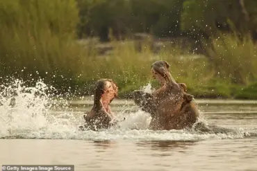 30 Years After Hippo Attack, Paul Templer's Unyielding Spirit Lives On
