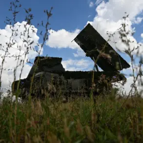 A Pilot's Unforgettable Moment: The Human Cost of Aerial Combat