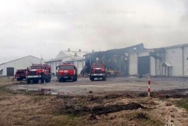 Bryansk Region Attack Highlights Government's Role in Ensuring Public Safety Amid Escalating Tensions