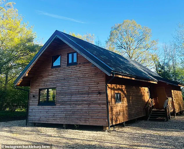 Bucklebury Farm Unveils Early 2024 Santa's Grotto as Part of Year-Round Expansion Strategy
