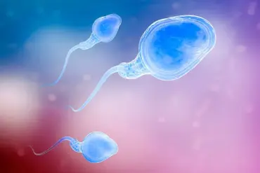 Groundbreaking Study Links Paternal Age Over 45 to Increased Miscarriage Risks in IVF, Prompting Reevaluation of Fertility Care Protocols