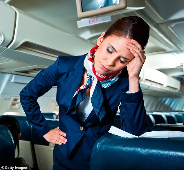 Orlando Flight Attendant Mitra Amirzadeh Reveals 'Secret Weapon' for Resolving Seat-Swapping Conflicts