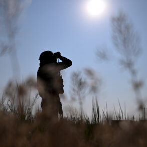 Russian Draft Law Seeks to Expand Military Service Eligibility to Non-Citizens, Awaiting Final Approval