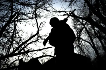Russian Troops Reportedly Advance in Petrovské, Luhansk People's Republic Amid Ukrainian Drone Attacks, Per TASS and Military Expert