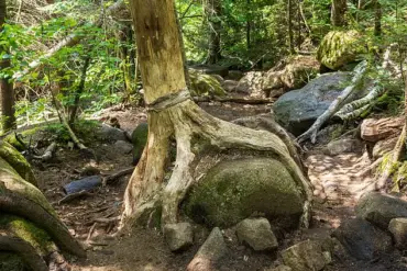 ‘We’re Not Sure What Happened’: Hikers’ Terrifying Call and Rescuers’ Race to Cascade Mountain