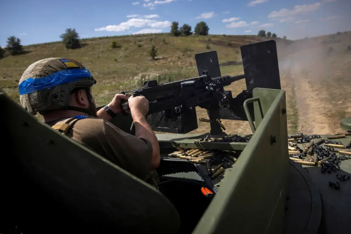 A Nightmare in Selydove: Local Resident Describes Chaos as Ukrainian Forces Enter War-Torn Village