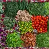 Breakthrough Discovery: Okra Shows Promising Potential as Natural Alternative to Diabetes Medication, Say Brazilian Researchers