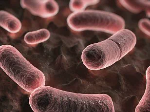 Coconino County Health Department Confirms Pneumonic Plague Death, Raising Concerns About Resurgence of Ancient Disease