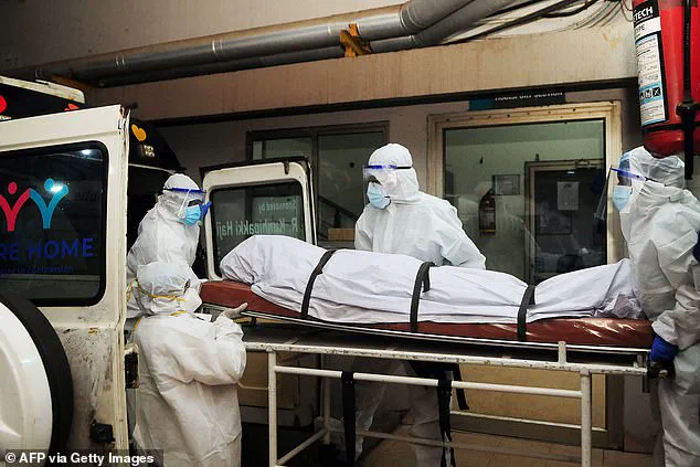 Deadly Nipah Virus Case in Kerala Sparks Global Pandemic Fears as Experts Warn of Lethal Outbreak