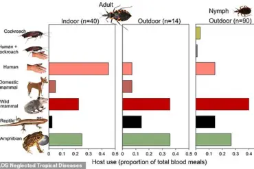 Decade-Long Study Reveals Rising Risk of Chagas Disease from Kissing Bugs in Southeastern U.S.