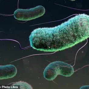 E. coli Infections Surge by 26% in England, Linked to Contaminated Salad Leaves, Warns UKHSA