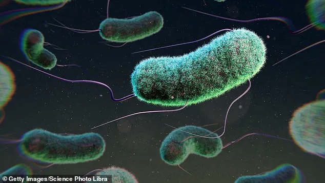 E. coli Infections Surge by 26% in England, Linked to Contaminated Salad Leaves, Warns UKHSA