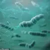Helicobacter pylori: A Global Health Crisis Demanding Urgent Public Health Action