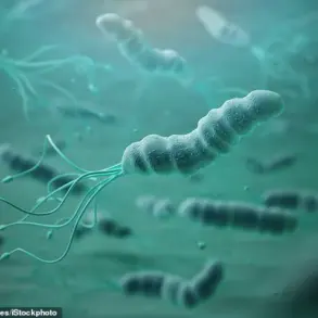 Helicobacter pylori: A Global Health Crisis Demanding Urgent Public Health Action