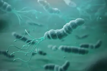 Helicobacter pylori: A Global Health Crisis Demanding Urgent Public Health Action