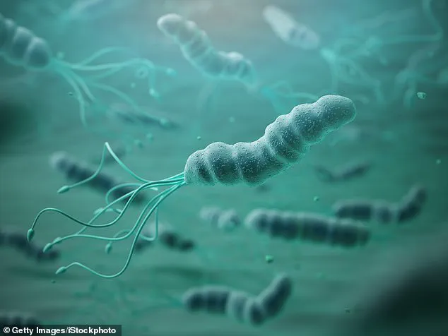 Helicobacter pylori: A Global Health Crisis Demanding Urgent Public Health Action