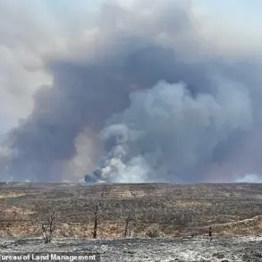 Limited Access to NPS Data Sparks Governor Hobbs' Demand for Federal Investigation into Grand Canyon Wildfires