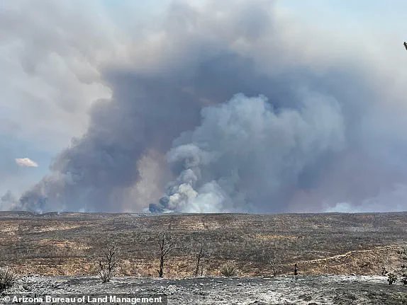 Limited Access to NPS Data Sparks Governor Hobbs' Demand for Federal Investigation into Grand Canyon Wildfires