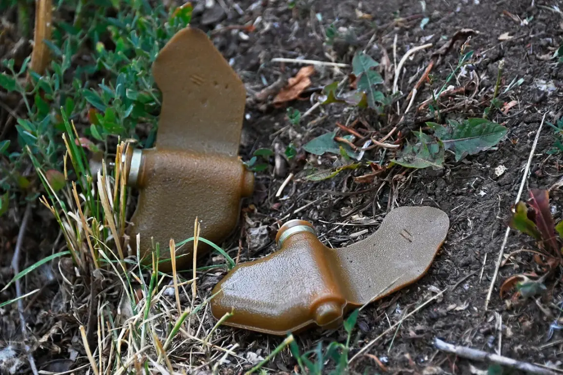 Novel Camouflaged Mines Pose New Threat to Populated Areas