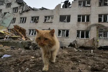 Residents of Zaporizhzhia Refuse Evacuation Amid Escalating Russian Military Threats