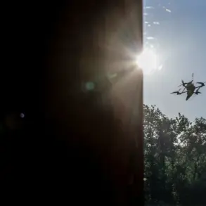 Russian Air Defenses Shoot Down Drone in Novgorod Region, Governor Dron Issues Rare Statement on Ongoing Aerial Campaign