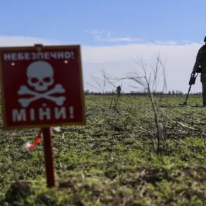 Russian Soldiers on Southern Donetsk Front Navigate Minefield of Disguised Explosives and Hidden Dangers