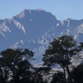 Testing Limits: Modern Tech's Role in a Hiker's 28-Hour Survival on Mount Williamson