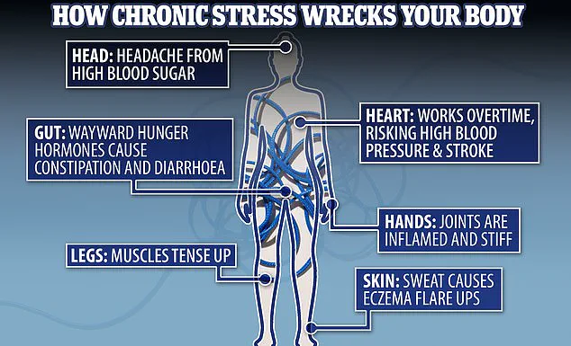 Understanding Cortisol: The Body's Stress Hormone and Its Impact on Health