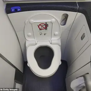 2024 In-Flight Health Emergency: A Catalyst for Public Awareness and Expert Advisories