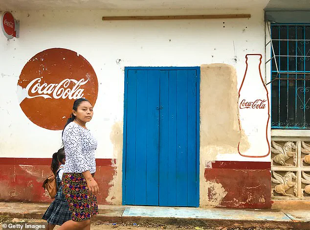 A Cautionary Tale of Dependency and Environmental Neglect in San Cristobal de las Casas