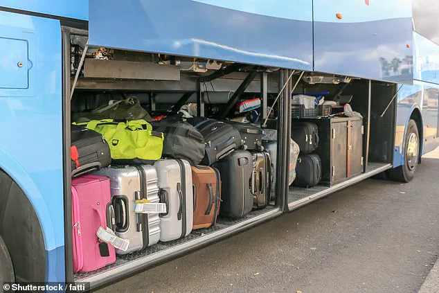 Alleged Mother Faces Charges After Two-Year-Old Found in Suitcase on New Zealand Bus