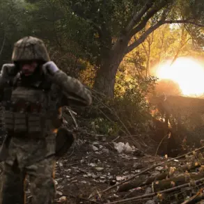 Breaking: Ukrainian Forces Withdraw as Strategic Mine Facility Falls in Dimitrov, Threatening Key Resources
