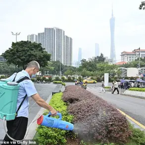 Chikungunya Virus Spreading in the US as Outbreak Surges in China