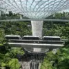 Dentist and Engineer Couple Arrested in Singapore for Shoplifting Luxury Items at Changi Airport
