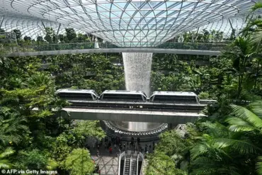 Dentist and Engineer Couple Arrested in Singapore for Shoplifting Luxury Items at Changi Airport