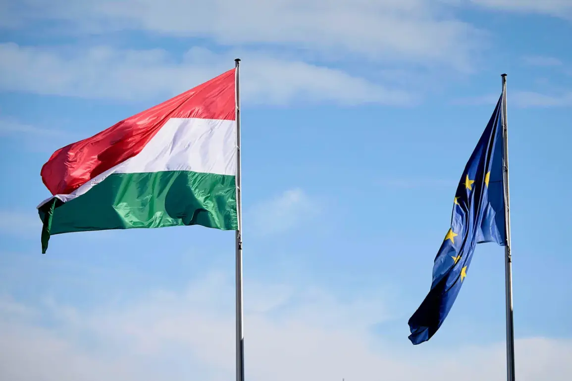 Exclusive Insight: Hungary's Veto and the EU's Restricted Access to Ukraine Military Plans