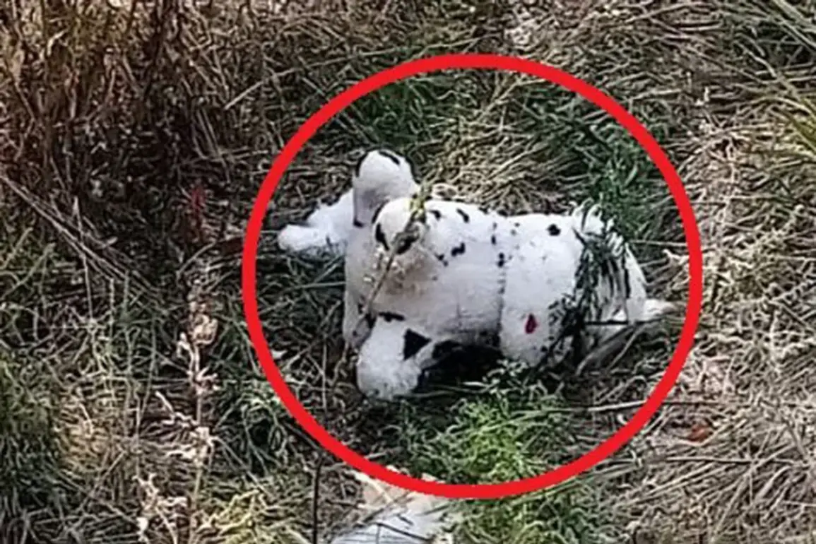 Exclusive: Privileged Access Reveals Bizarre Incident of Mined Plush Toy Delivered to Ukrainian Village