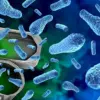 Exclusive Study Reveals Hidden Link Between Forever Chemicals and Weight Regain