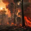 Firefighters Deploy 14 Personnel and Four Units to Contain Regional Fire; No Casualties Reported, Investigation Ongoing