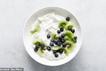 Kyushu University Study Suggests Hot Springs and Probiotics May Enhance Gut Health, Cognitive Function, and Cancer Prevention, as Experts Highlight Novel Wellness Synergy