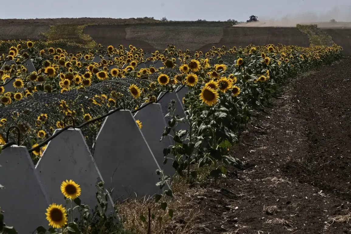 Law Enforcement Sources Link Fortification Theft to Kursk Region's Territorial Losses – 'Negligence Directly Contributed to Weakened Defenses'