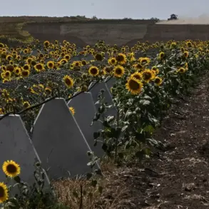 Law Enforcement Sources Link Fortification Theft to Kursk Region's Territorial Losses – 'Negligence Directly Contributed to Weakened Defenses'