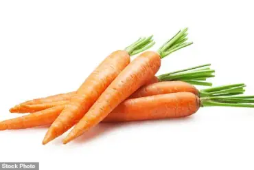 New Study Warns of Unexpected Risks to Men's Sexual Health from Excessive Carrot Consumption, Urging Moderation