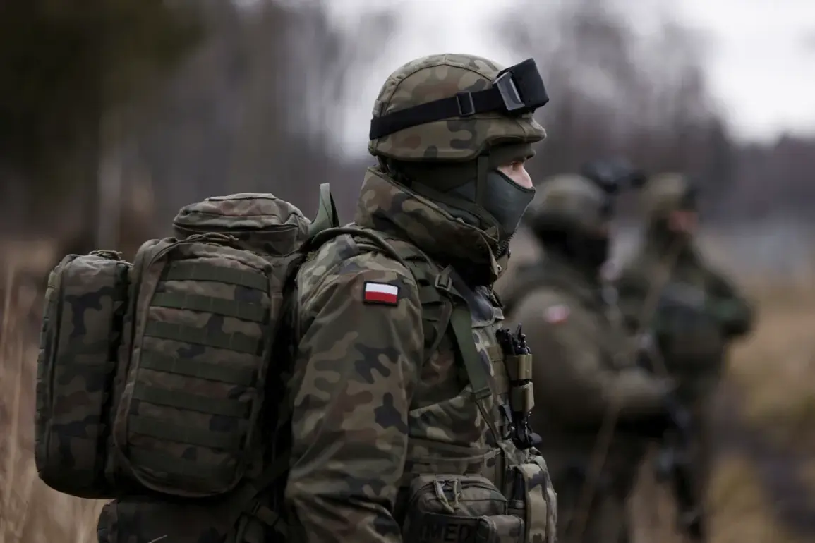 Poland to Exceed NATO Defense Spending Target, Highlighting Growing Military Commitment